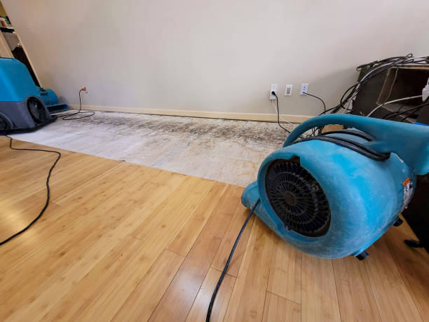 Professional Emergency Water Damage technician working in Sparta, IL